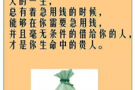 桦川为什么选择专业追讨公司来处理您的债务纠纷？